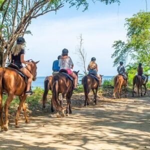 Ocho Rios Horseback Ridding